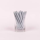 Single Jotter Pen - Silver - Southern Chic Tees & Boutique